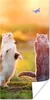 MuchoWow® Poster Katzen - Schmetterling - Sonnenuntergang - Produktbild-Vorschau 1