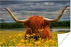 MuchoWow® Poster Schottisches Hochlandrind - Tiere - Blumen Produktbild-Vorschau 1