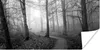 MuchoWow® Poster Nebliger Waldweg - schwarz und weiß 80x40 Produktbild-Vorschau 1