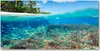 Tulup® Glas-Bild - 100x50 -Wandkunst - Wandbild hinter Produktbild-Vorschau 1