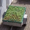 Siatka do przyczepy Relaxdays, rozciągliwa do wymiarów 2x3 Podgląd zdjęcia produktu 2