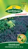 Quedlinburger Saatgut - Steinkraut Violettkönigin - Samen - Produktbild-Vorschau 1
