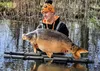 Karpfenfutter 18mm/1kg Dojrała Son Produktbild-Vorschau 6