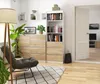 A living room with a bookshelf, drawers, a chair, and a lamp. Podgląd zdjęcia produktu