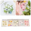 A collage of images showing dried flowers and a woman with flowers on her face. Náhled obrázku produktu