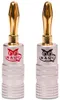 14x Bananenstecker Bananas 24K vergoldet NAUC High End Produktbild-Vorschau 2