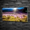 Tulup® Glas-Bild - 100x50 -Wandkunst - Wandbild hinter Produktbild-Vorschau 2
