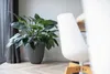 A large potted plant sits on a wooden floor next to a modern white chair. Produktbild-Vorschau