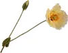 Silk-ka Kunstblume - Seidenblumen-Mohnzweig Gelb 74 cm pro Produktbild-Vorschau 1