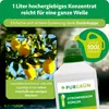 Purgrün -Zitronenbaum-Dünger 1 Liter, Produktbild-Vorschau 4