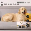 TESLA SecureQ SC10 - caméra intelligente pour l'intérieur ; Voir les images du produit 5