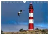Amrum Glücksort (Wandkalender 2027 DIN A4 quer), CALVENDO Produktbild-Vorschau 13