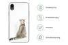 MuchoWow® Handyhülle Schutzhülle Hülle für iPhone XR Katze Produktbild-Vorschau 7
