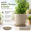 Sottovaso per piante Mira Taupe Ø 24 cm - Resistente al Anteprima dell’immagine prodotto 2