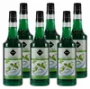 Rioba Mint (Minze) Syrup (6 x 0,7L) Produktbild-Vorschau 1