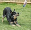 Nobby COA Multi-klikker, 3,5 x 7 cm Productafbeelding-voorbeeld 5