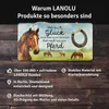 LANOLU Retro Blechschild Pferd Glück anfassen, Geschenk für Produktbild-Vorschau 4