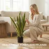 SUGIFT, plante artificielle en pot, Sansevieria Voir les images du produit 6