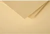 Pack 20 enveloppes Pollen, C5 162x229mm, 120g caramel Voir les images du produit 2