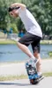 SCHILDKRÖT 510682 Grinder de skateboard SCHILDKRÖT 31" Wolf Voir les images du produit 7