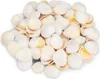 Cardium flavus, 0,5kg, ca. 3-5cm, ca. 90-100 Stk. | Produktbild-Vorschau 1