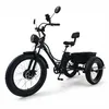 E Bike Dreirad Fat E-Bike Lastenfahrrad elektrische dreirad Produktbild-Vorschau 5