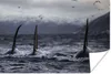 MuchoWow® Poster Drei Orcas 180x120 cm - Fotoplakat Produktbild-Vorschau 2