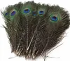Plumes de paon, env. 25-30 cm, 5 pièces Voir les images du produit 4