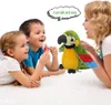 Elektrisch sprechender Papagei Plüsch Spielzeugvogel Produktbild-Vorschau 5
