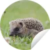 MuchoWow® Produktbild-Vorschau 1