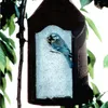 SCHWEGLER Nichoir 26mm pour petits oiseaux, à suspendre Voir les images du produit 3