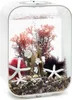 biOrb Decor Set 15L Red Forest Náhled obrázku produktu 10