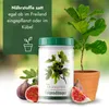 Meine Orangerie Feigenbaum Dünger [1kg] - Premium Dünger Produktbild-Vorschau 3