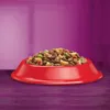 Whiskas Adult 1,4kg - Vollwertiges Trockenfutter für Produktbild-Vorschau 4