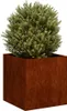 vidaXL Fioriera Rusty 40x40x40 cm Acciaio resistente alle Anteprima dell’immagine prodotto 3