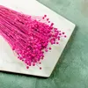 Flachs Getrocknete - (Leinen) - Fuchsia Produktbild-Vorschau 6