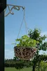 Esschert Design Hanging Basket Gußeisen ø30cm L; BPH26 Produktbild-Vorschau 8