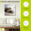 ARTland Leinwandbild Kleiner Fuchs Größe: 70x70 cm Produktbild-Vorschau 2