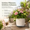 Pflanztopfuntersetzer Mira Anthrazit Ø 58cm - Frostsicher & Produktbild-Vorschau 4