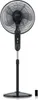 A black pedestal fan standing on a white background. Voir les images du produit