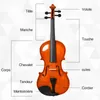 HOMCOM Violon 4/4 pleine grandeur avec étui, accordeur, Voir les images du produit 3