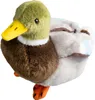 A plush toy duck on a white background. Podgląd zdjęcia produktu