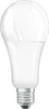 A white LED light bulb with a silver screw base, isolated on a white background. Anteprima dell’immagine prodotto