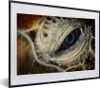 MuchoWow® MuchoWow® Gerahmtes Poster Nahaufnahme Produktbild-Vorschau 1