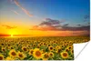 MuchoWow® Poster Blumen - Sonnenblume - Sonnenuntergang - Produktbild-Vorschau 1