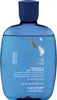 A clear, well-lit studio shot of a blue shampoo bottle against a white background. Anteprima dell’immagine prodotto
