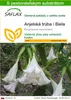 SAFLAX - Anjelská trúba / Biela - Brugmansia suaveolens - Náhľad obrázku produktu 1