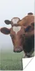 MuchoWow® Poster Kühe - Braun - Nebel 20x40 cm - Plakat - Produktbild-Vorschau 1