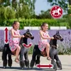 Cheval mécanique Ponnie Ebony M Voir les images du produit 19