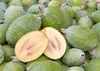 Sada 3 brazílskych ananásových guáv (Acca sellowiana) v 9 Náhľad obrázku produktu 4